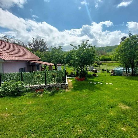 Village Flower Ivy Montenegro Nikšić Екстериор снимка