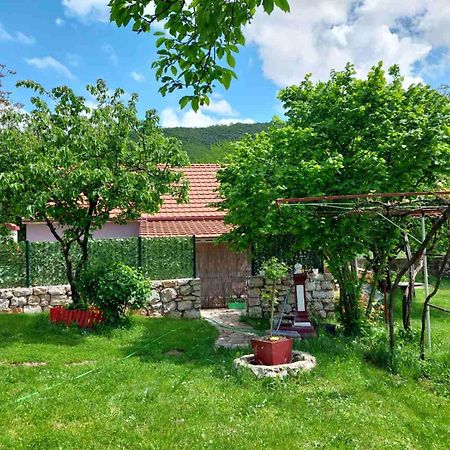 Village Flower Ivy Montenegro Nikšić Екстериор снимка