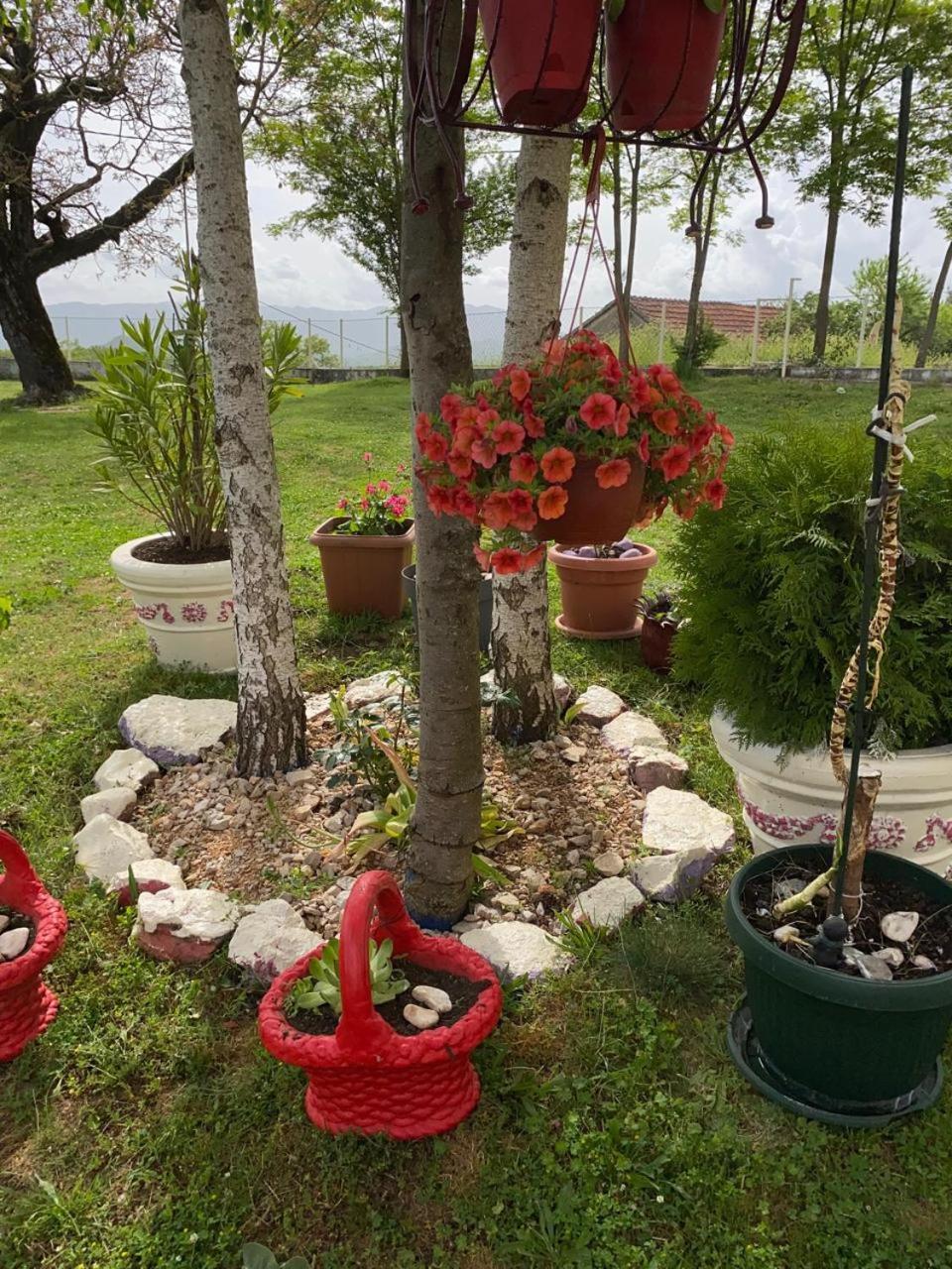 Village Flower Ivy Montenegro Nikšić Екстериор снимка